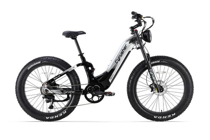 Elektro-Bike Trax 2.0 - Grau, Fietsen en Brommers, Elektrische fietsen, Verzenden