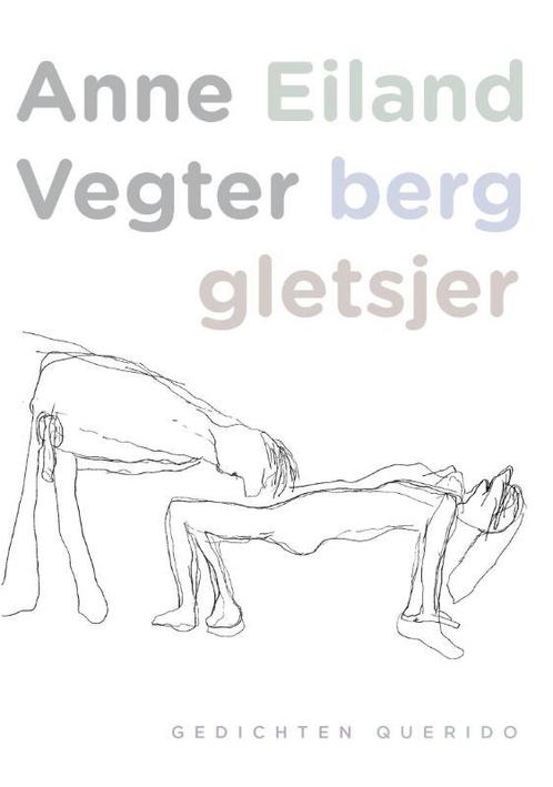 Eiland berg gletsjer 9789021439006 Anne Vegter, Boeken, Gedichten en Poëzie, Gelezen, Verzenden