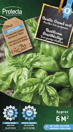 Protecta Groente zaden: Basilicum Grootbladige, Ophalen of Verzenden