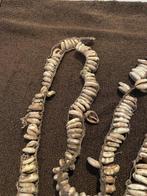 Geldstreng gemaakt van kauri-schelpen - Abelam -, Antiek en Kunst, Kunst | Niet-Westerse kunst