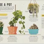 Happy Cactus 9780241341094 Dk, Boeken, Verzenden, Gelezen, Dk