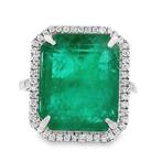 Ring Platina - 10.61ct. tw. Smaragd - Diamant, Nieuw