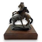 Wally Shoop - sculptuur, Winner Take All I - 34 cm - Brons,, Antiek en Kunst, Curiosa en Brocante