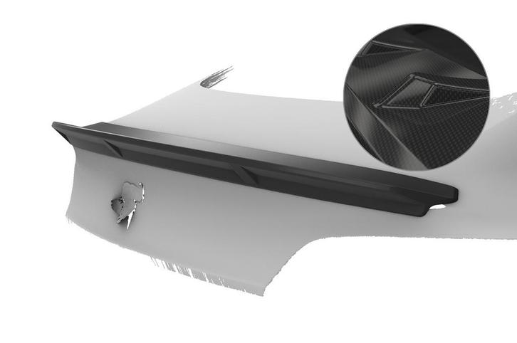 Achtervleugel met ABE voor Tesla Model 3 HF985-C, Auto-onderdelen, Carrosserie en Plaatwerk, Nieuw, Verzenden