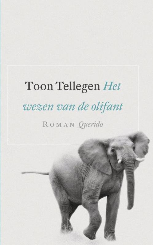Het wezen van de olifant 9789021440262 Toon Tellegen, Boeken, Romans, Gelezen, Verzenden