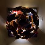 Michael Fantozzi - Little Light Fish #8