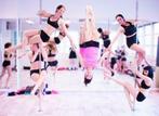 Paaldansworkshop in Den Haag vanaf €199!