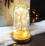 Kunst Roos in Glazen Stolp met Verlichting - Zijden Rozen, Verzenden, Nieuw