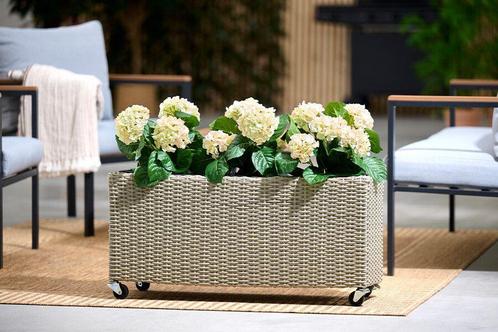 Plantenbak op wieltjes met 3 compartimenten, Tuin en Terras, Bloembakken en Plantenbakken, Nieuw