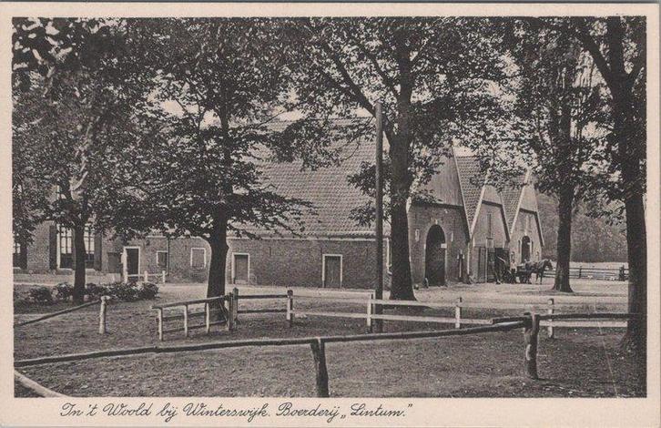 WINTERSWIJK - In t Woold bij Winterswijk. Boerderij Lintum, Verzamelen, Ansichtkaarten | Nederland, Verzenden