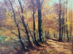 Belgische school (XX) - Bos in de herfst