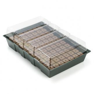 Kweekbak met deksel | 35 x 23.5 cm, Tuin en Terras, Kweekspullen, Nieuw, Verzenden