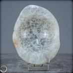 Natuurlijke Zeer Zeldzame Chalcedoon en Kwarts schaal-