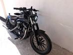 Harley-Davidson - XL 883 N - Iron - 2011, Motoren