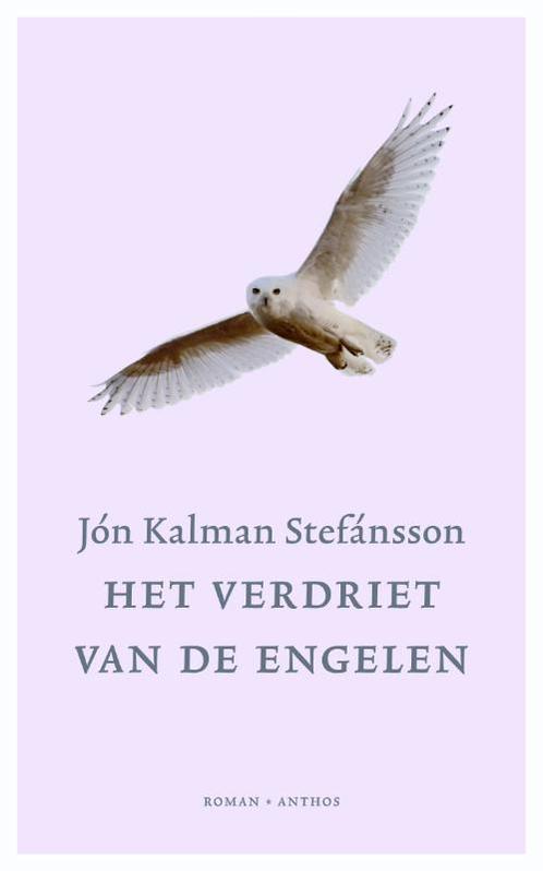 Het verdriet van de engelen / De jongen / 2 9789041417923, Boeken, Romans, Gelezen, Verzenden