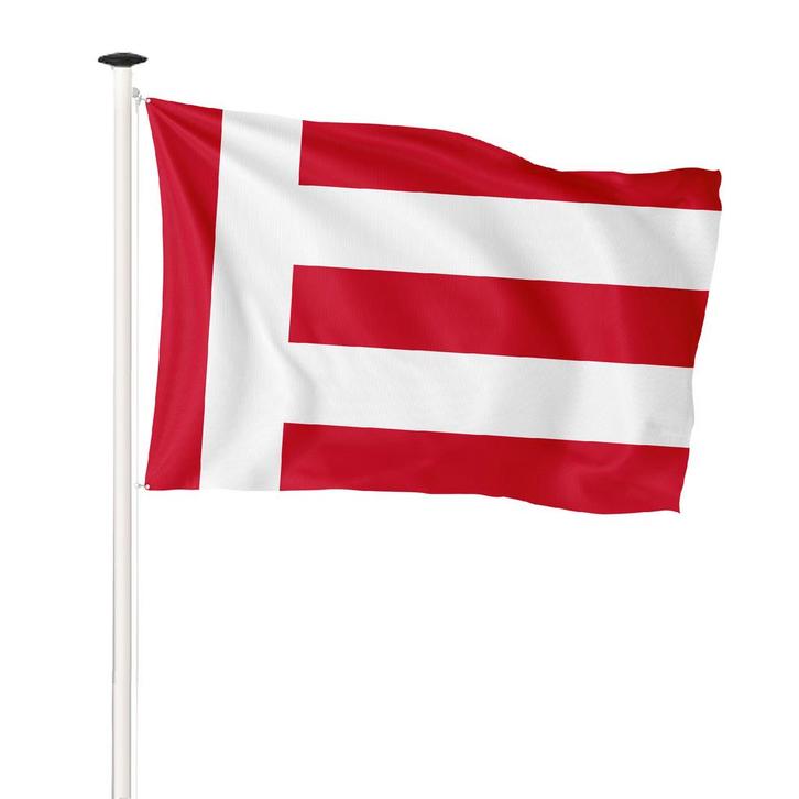 Vlag Eindhoven 100x150cm (voor gevelstok), Diversen, Vlaggen en Wimpels, Nieuw