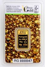 10 gram - Goud