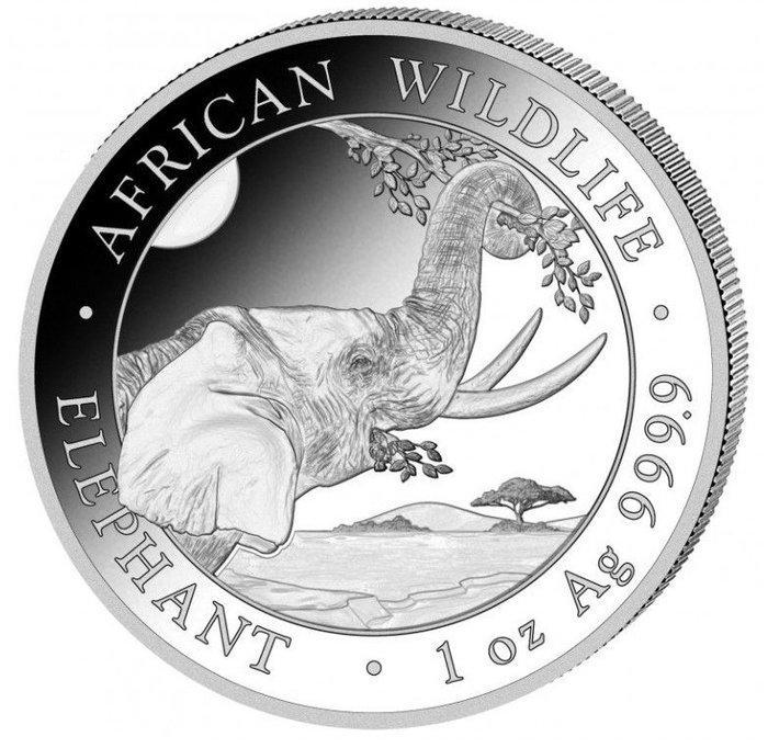 Somalië. 100 Shilling 2023 Wildlife Elephant Silver Coin, Postzegels en Munten, Munten | Europa | Niet-Euromunten