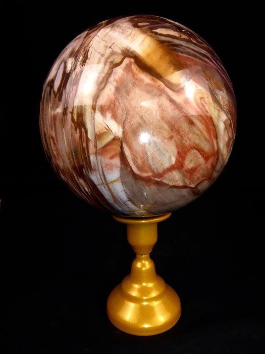 Versteend hout Bol - Hoogte: 12.7 cm - Breedte: 12.7 cm-, Verzamelen, Mineralen en Fossielen