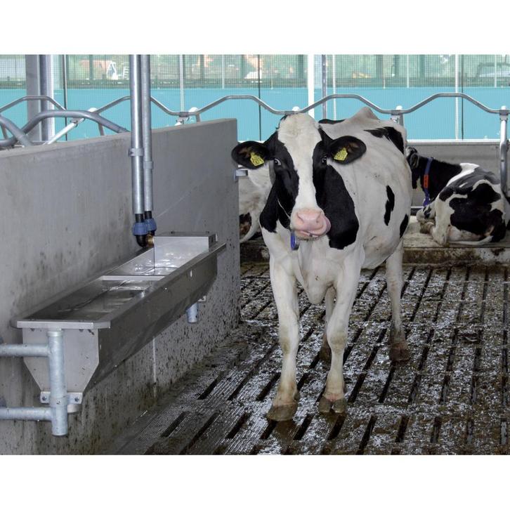 Drinkbak RVS Spinder Classic, muurbevestiging model 200, Dieren en Toebehoren, Runderen