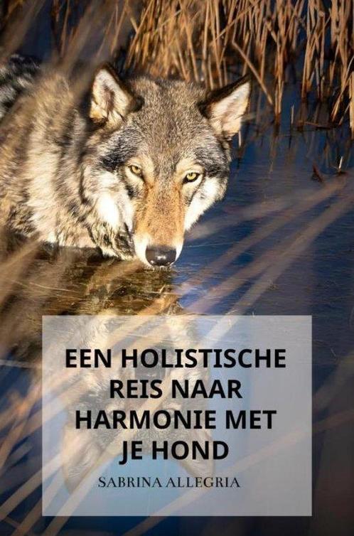 9789464856354 Een holistische reis naar harmonie met je hond, Boeken, Studieboeken en Cursussen, Nieuw, Verzenden