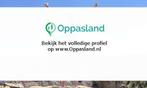 Ik ben Aniek, 17 jaar oud en ik zoek oppaswerk in Denekamp., Diensten en Vakmensen