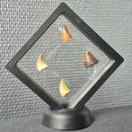 Dinosaurus Tand - Mosasaurus - 12 cm - 12 cm - 5 cm - (4), Nieuw