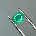 Zonder minimumprijs Groen Smaragd - 2.00 ct - International, Nieuw