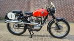 MV Agusta - 6 Days - CSS - 5V - Regolarita - Monoalbero -