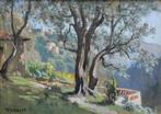 Émile Wegelin (1875-1962) - Oliviers à Falicon