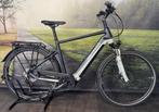 Pegasus Premio EVO 10 Lite – Elektrische Herenfiets, 750WH, Overige merken, Ophalen of Verzenden, Zo goed als nieuw, 50 km per accu of meer