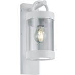 LED Tuinverlichting met Dag en Nacht Sensor - Wandlamp, Nieuw, Hanglamp, Led, Ophalen of Verzenden