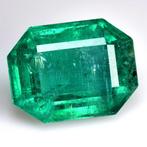 1 pcs Groen Smaragd - 8.89 ct - Lotus Gemology, Nieuw