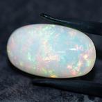 Opaal - 12.33 ct - International Gemological Institute (IGI), Nieuw