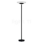 Hell Findus Vloerlamp LED, zwart (Staande lampen), Verzenden, Nieuw