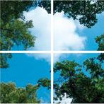 Wolk-bos plafond | Fotoprint | verdeeld over 4 panelen, Ophalen of Verzenden, Nieuw in verpakking, Verlichting