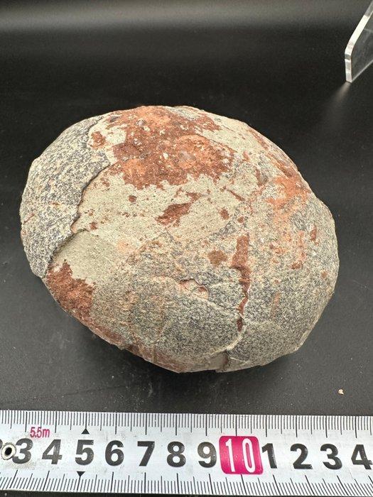 Dinosaurus - Fossiele matrix - Hadrosaurus or, Verzamelen, Mineralen en Fossielen