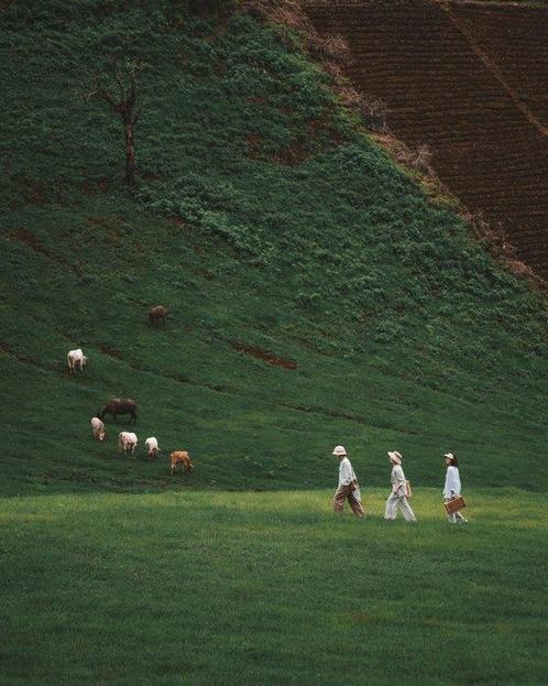 Piyatat Primtongtrakul - Doi Mae Tho, Chiang Mai, Verzamelen, Fotografica en Filmapparatuur