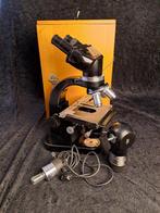 Microscoop - Model 598258 - 1960-1970 - Duitsland - Ernst