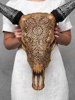 GEEN RESERVEPRIJS - Bruine gegraveerde koeienschedel met