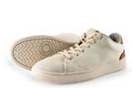 Toms Sneakers in maat 44 Beige | 10% korting, Kleding | Heren, Schoenen, Overige kleuren, Verzenden, Toms, Sneakers of Gympen