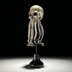 Octopus schedelbeeldhouwwerk Schedel - - - 32 cm - 12 cm -, Antiek en Kunst, Curiosa en Brocante