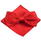 Fako Fashion® - Vlinderstrik Met Pochette - Vlinderdas -, Verzenden, Nieuw