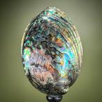 Decoratief ornament (2) - NO RESERVE PRICE - A Pair of, Antiek en Kunst