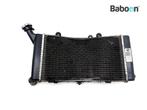 Radiateur BMW F 750 GS 2018-2023 (F750GS K80) (8565247), Verzenden, Gebruikt