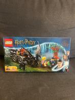 Lego Set - 76400 - Harry Potter - Hogwarts Carriage and, Kinderen en Baby's, Speelgoed | Duplo en Lego, Nieuw