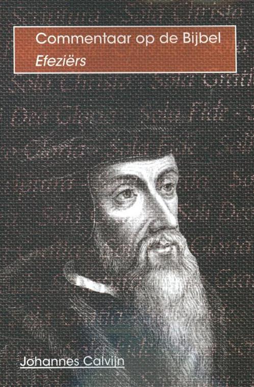 De brief van Paulus aan De Efeziërs 9789057191084, Boeken, Godsdienst en Theologie, Gelezen, Verzenden