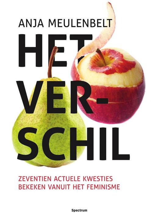 Het verschil 9789000350186 Anja Meulenbelt, Boeken, Politiek en Maatschappij, Gelezen, Verzenden