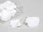 Ginkgo Biloba blad glitter Wit 16 stuks, Huis en Inrichting, Ophalen of Verzenden, Nieuw