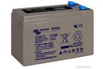 Victron AGM Deep Cycle accu 12V/8Ah, Verzenden, Nieuw